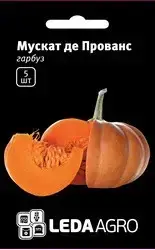 Насіння гарбуза Мускат де Прованс, 5 шт, LEDAAGRO, фото 1
