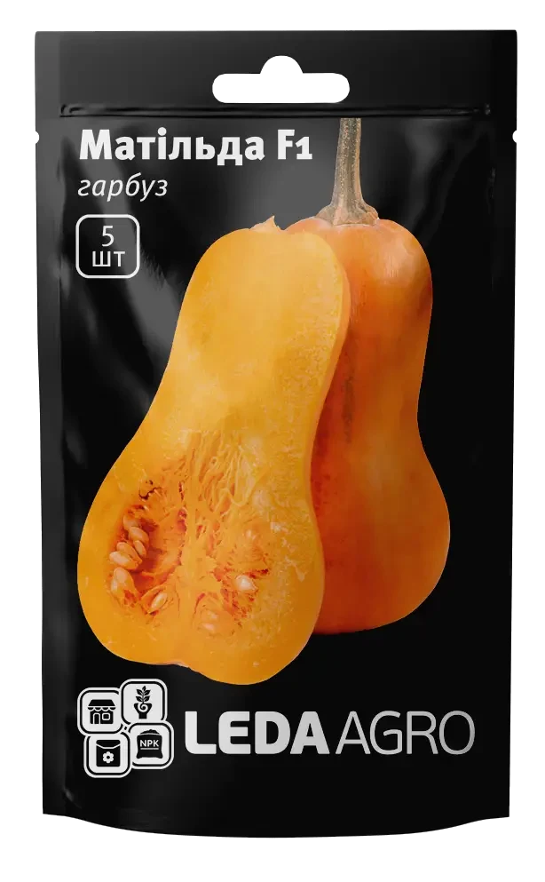 Насіння гарбуза Матільда F1, фасування 5 насінин, LEDAAGRO