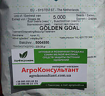 Насіння спаржевої квасолі Голден Гол (Hazera), 5 000 насінин — рання (54-58 днів), яскраво-жовта