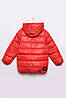 Куртка дитяча червоний демісезон з капюшоном р.110 150333P, фото 2