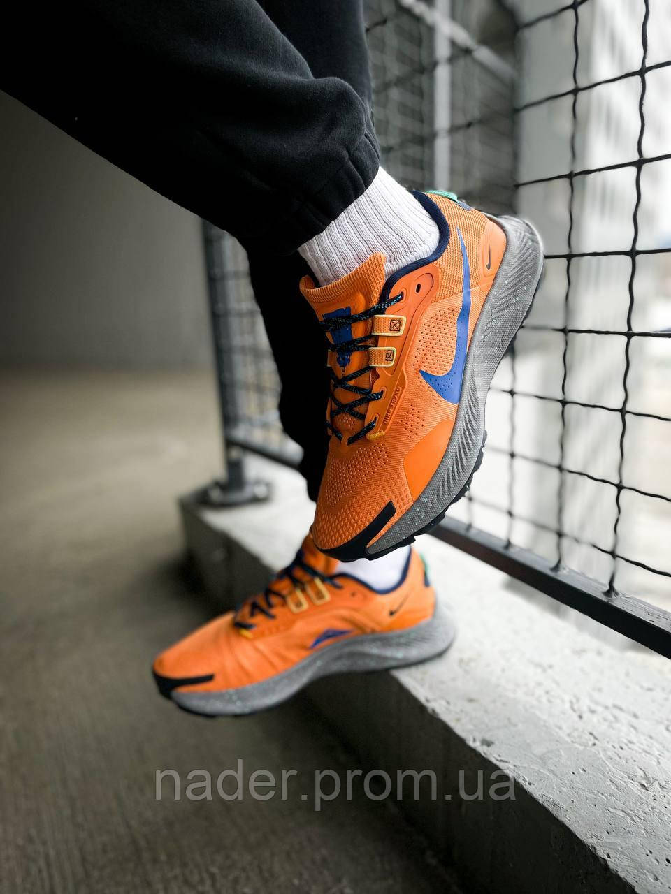 Nike Pegasus Trail 3