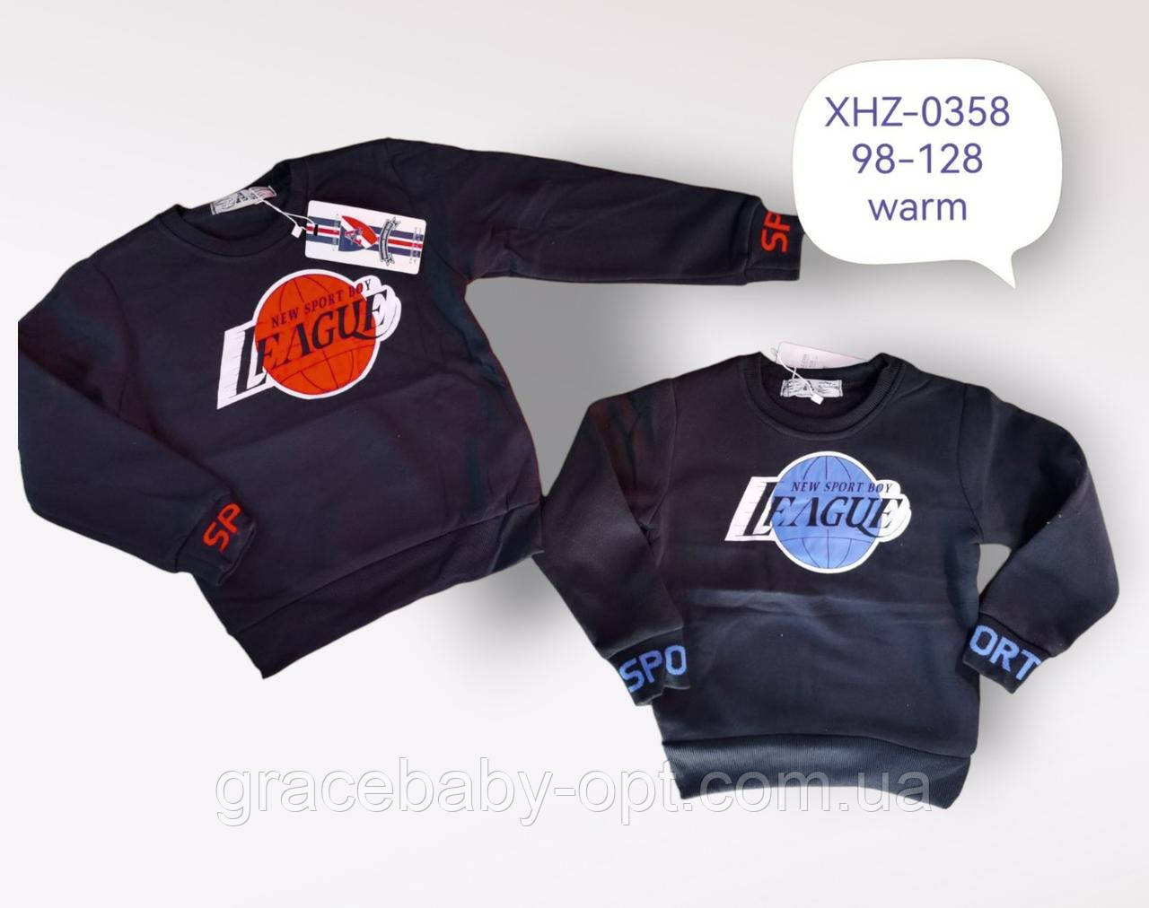 Кофта утеплена для хлопчиків оптом, Active Sport, 98-128 см, № XHZ-0358