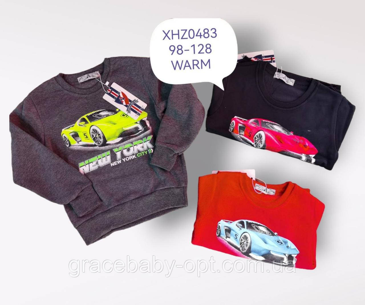 Кофта утеплена для хлопчиків оптом, Active Sport, 98-128 см, № XHZ-0483
