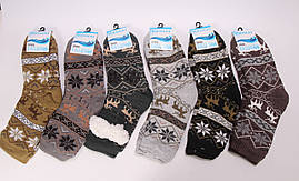 Шкарпетки чоловічі теплі IOOSOO PM-090
