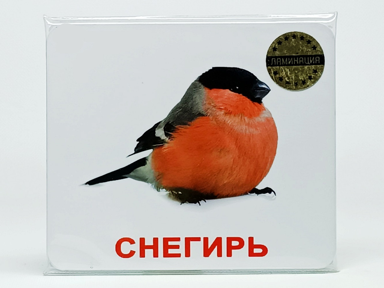 Набір карток "Вундеркінд з пелюшок - Птахи" російська мова 19,5*16,5 см 876544-877