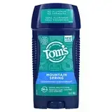 Tom's of Maine, Дезодорант, Mountain Spring, 79 г (2,8 унции)