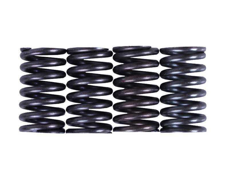 Пружини зчеплення, к-т: 4 шт. - КПП Mini, фото 1