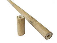 Декорация AQUAXER, бамбук 2.2-2.4 см, 5 см. Декорация из бамбука
