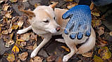 Рукавичка для вичісування шерсті True Touch, Тру Тач, Pet Glove, фото 10