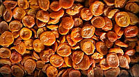 Курага Індустріал 200 г, Таджикістан, сухофрукти з абрикоса, абрикос сушений без цукру