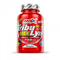 Стимулятор тестостерону Amix Nutrition TribuLyn 90% 750 mg, 90 капсул CN9756 vh