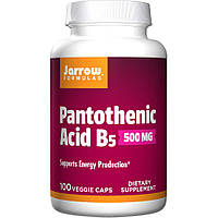 Витамины и минералы Jarrow Formulas Pantothenic Acid 500 mg, 100 вегакапсул