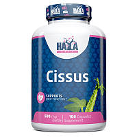 Натуральна добавка Haya Labs Cissus 500 mg, 100 капсул