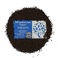 Гірчиця чорна (сидерат)