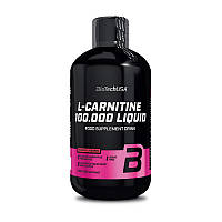 Жиросжигатель L-Carnitine 100.000 Liquid 500 ml Apple, BioTech Китти