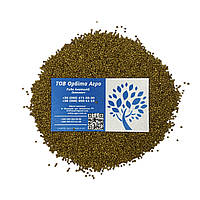 Насіння жовтої гірчиці