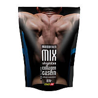 Протеїн сироватковий концентрат суміш Protein Power MIX (циннамон) 1 кг, Power Pro