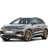 Audi Q4 e-tron 2021-