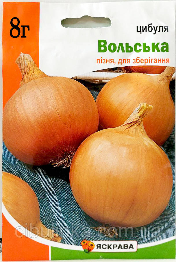 Насіння Цибуля ріпчаста Вольський Яскрава 8 г