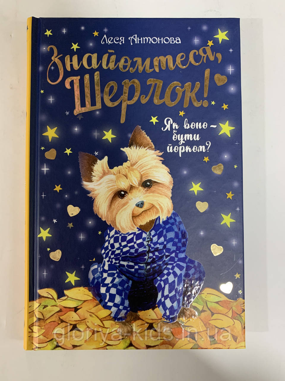 Книга Знайомтеся, Шерлок!