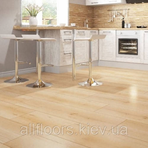 Ламінат Classen 8/33 4V Дуб Кротоне 55044