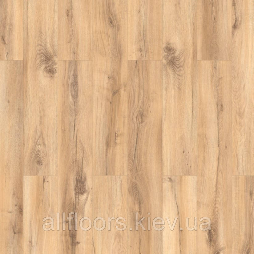 Ламінат Classen 8/33 4V Дуб Манітоба 56830, фото 1