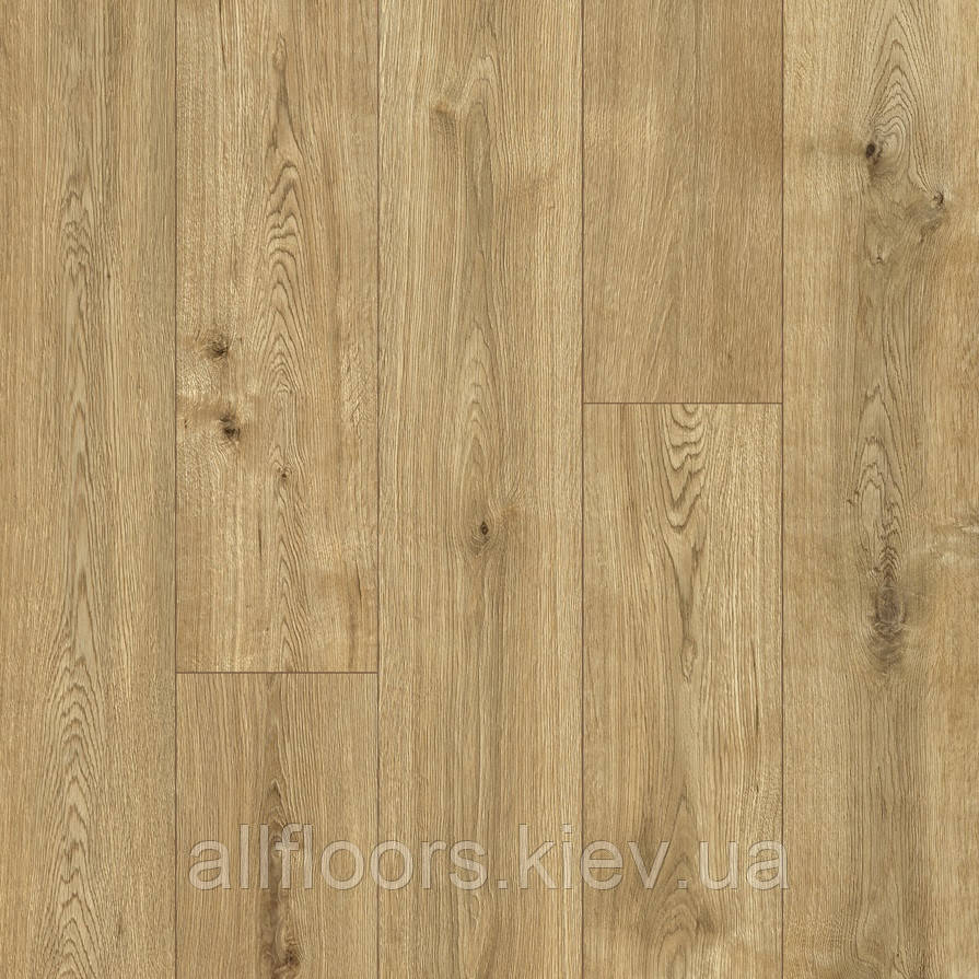 Ламінат Classen 8/33 4V Livorno Oak 56687