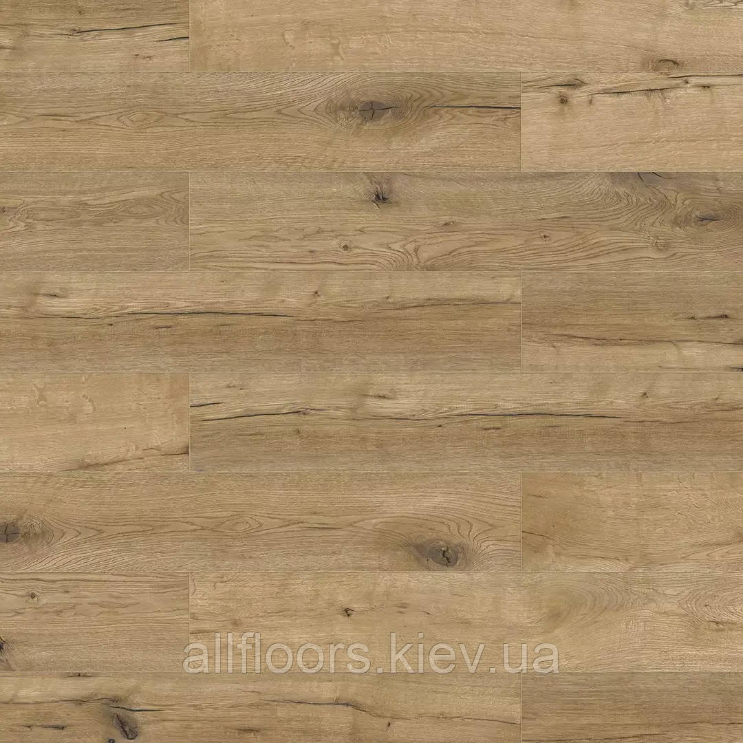 Ламінат Classen 8/32 4V Дуб Брісбен 62601