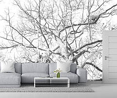 Чорно-білі шпалери Дерево для сучасного інтер'єру від виробника. Преміум якість.