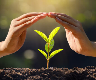 Засоби захисту рослин