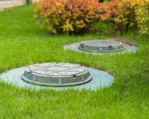 Біопрепарати для приватного сектора