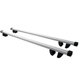 Багажники на рейлінги