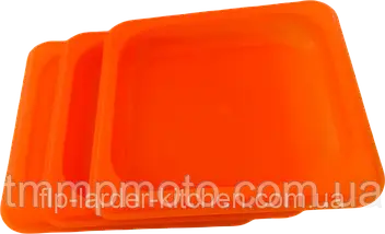 Піднос Ємність для подачі закусок 400*300 Полікарбонат Кольоровий, фото 4