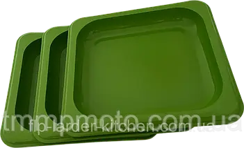 Піднос Ємність для подачі закусок 400*300 Полікарбонат Кольоровий, фото 3