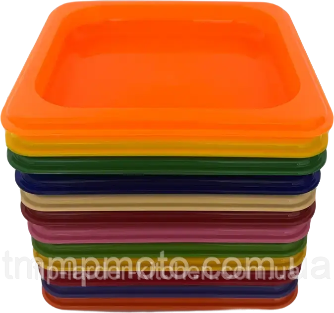 Піднос Ємність для подачі закусок 400*300 Полікарбонат Кольоровий