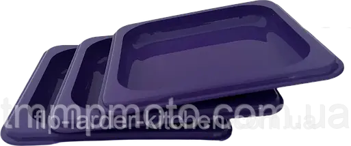 Піднос Ємність для подачі закусок 400*300 Полікарбонат Кольоровий, фото 2