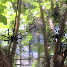 Павутина декоративна ЧОРНА + 2 павучка на Halloween Party