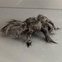 Павук волохатий на Хелловін, 30 см, Паук декоративный на Хэллоуин, фото 2