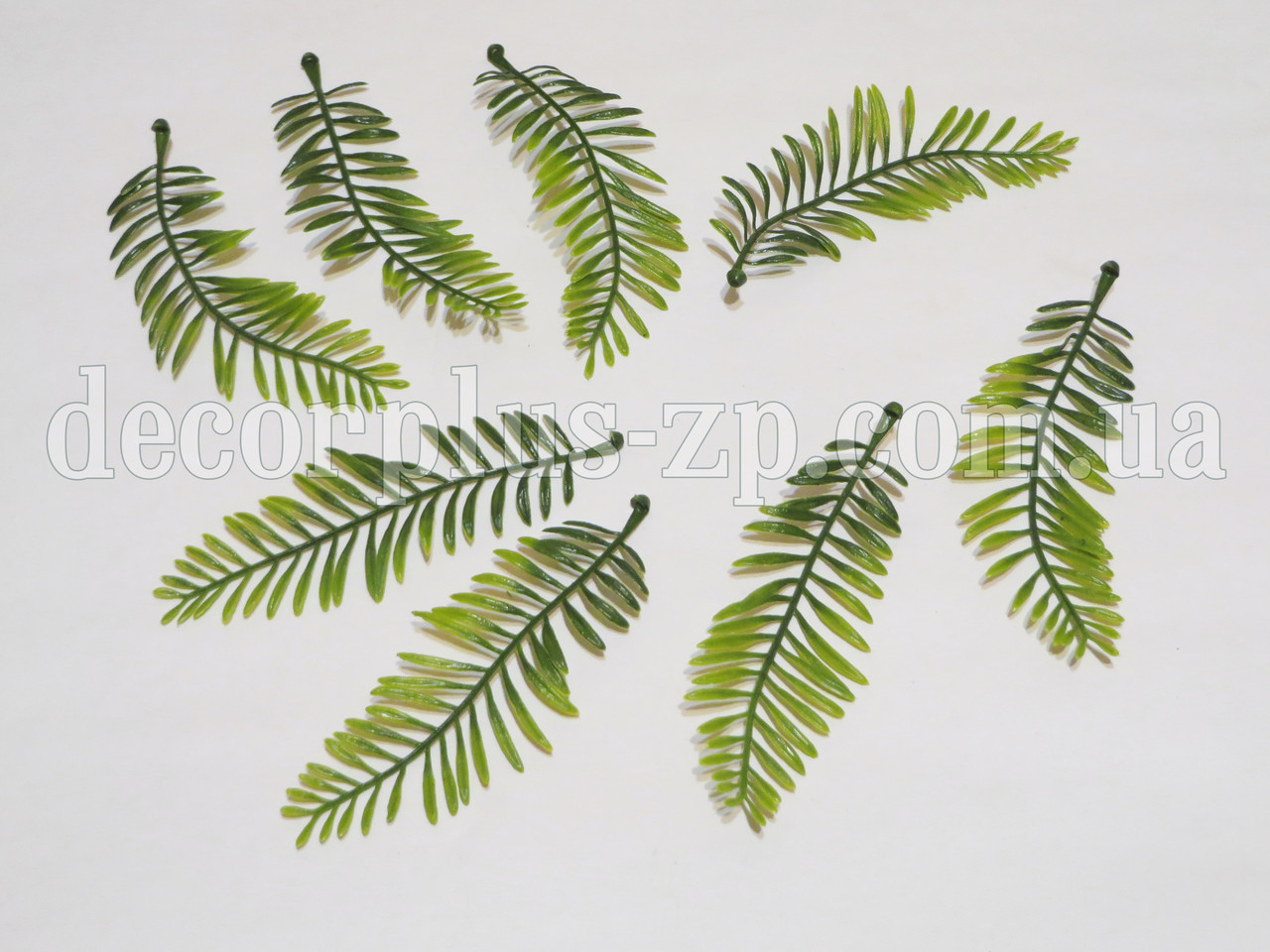 Додаток - папороть (10шт), фото 1
