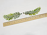 Додаток - папороть (10шт), фото 2