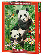 Пазли Castorland 1000 елементів "Сніданок панд" (C-104987), фото 2