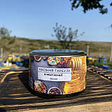 Насіння Гарбуза у меду акації 0,25 л (270 грам), фото 3