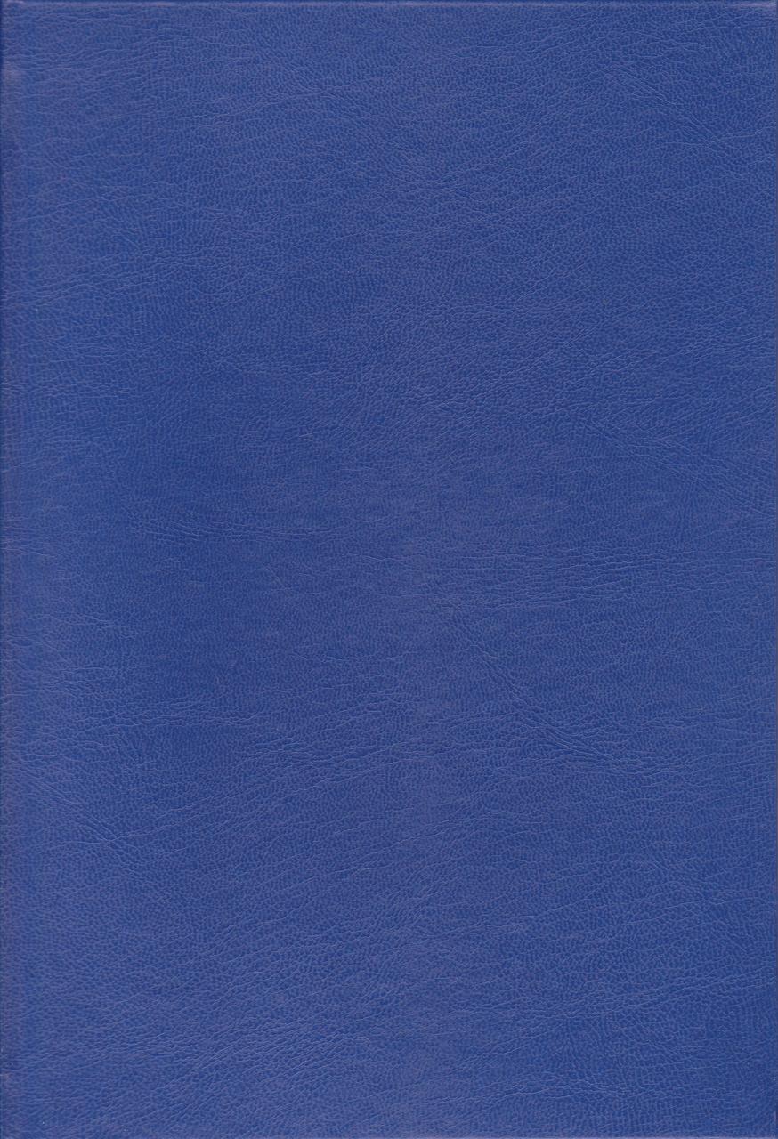 Канцелярська книга А4 192 арк. тв. обкладинка Бумвініл синя Б.Т.