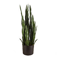 Искусственное растение Sansevieria / Сансевиерия 65см Engard (DW-10)