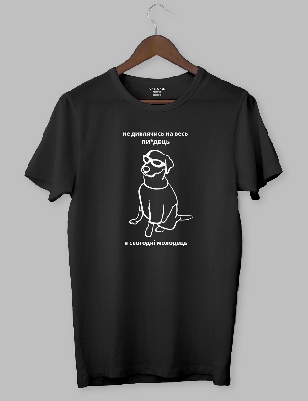 Футболка з оригінальним принтом  "не дивлячись на весь ПИ*ДЕЦЬ я сьогодні молодець", фото 1