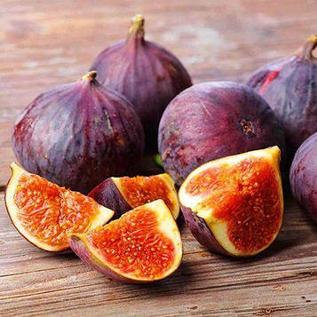 Саджанці інжиру Синього Італійського -(3-річний) великоплідний, ранній, солодкий