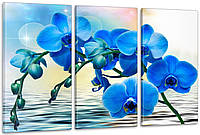 Модульная картина в гостиную / спальню Синя Орхідея ART-015_3A 100х150 см