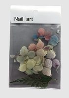 Сухоцвіт для дизайну нігтів Nail art (у блістері) (дизайн для манікюру, дизайн нігтів)