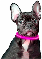 Светящийся ошейник для собак цвет Розовый размер 35 см