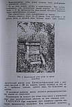 Книга "Прибуткова пасіка" Фольц О.В., фото 6